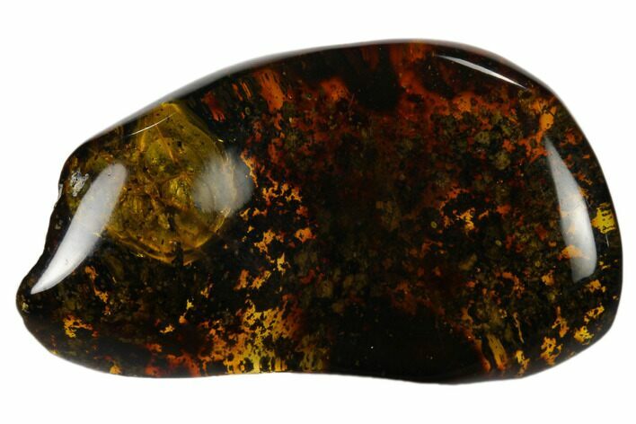 Polished Chiapas Amber With Insect ( g) - Mexico #115004